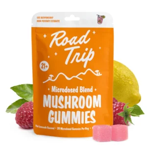 Home road trip microdosed gummies + functional mushrooms orange